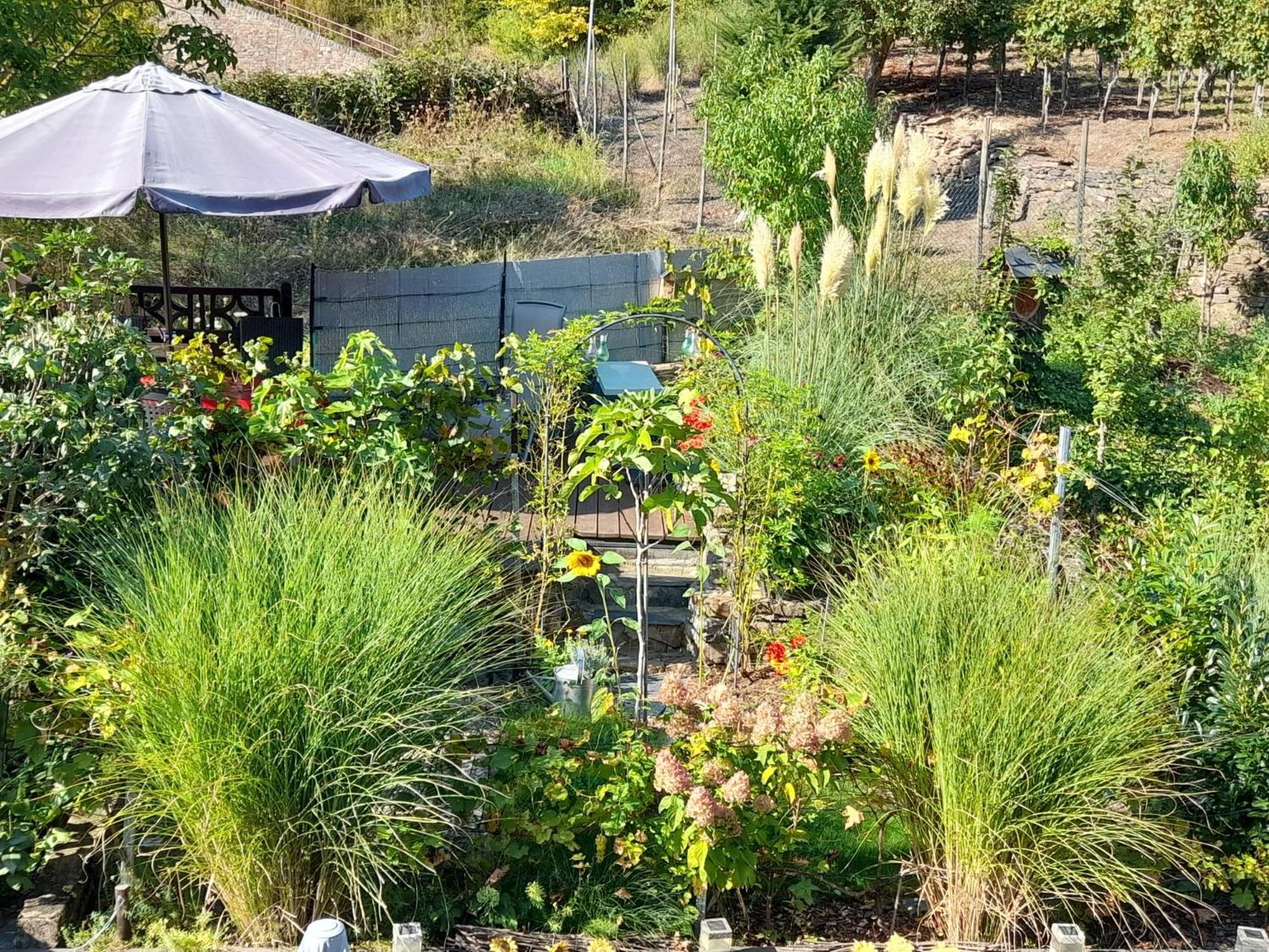 Ferienhaus Heimes كلوتن المظهر الخارجي الصورة
