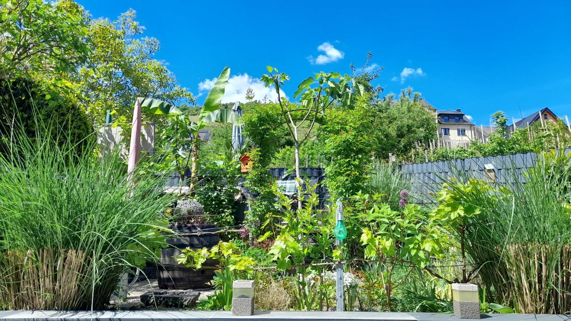 Ferienhaus Heimes كلوتن المظهر الخارجي الصورة